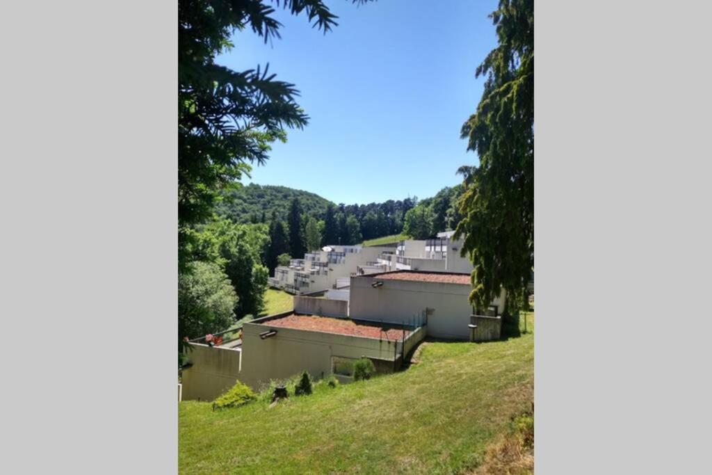 Studio Au Coeur Des Volcans D Auvergne - مورول المظهر الخارجي الصورة