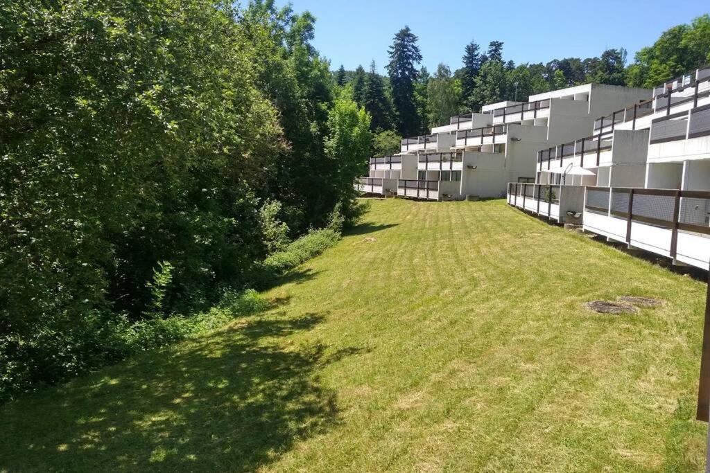 Studio Au Coeur Des Volcans D Auvergne - مورول المظهر الخارجي الصورة