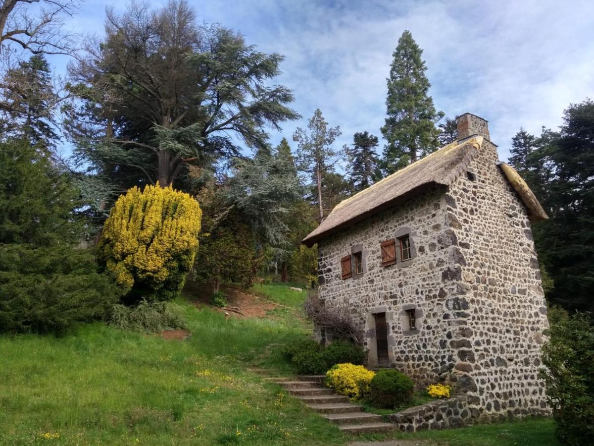 Studio Au Coeur Des Volcans D Auvergne - مورول المظهر الخارجي الصورة